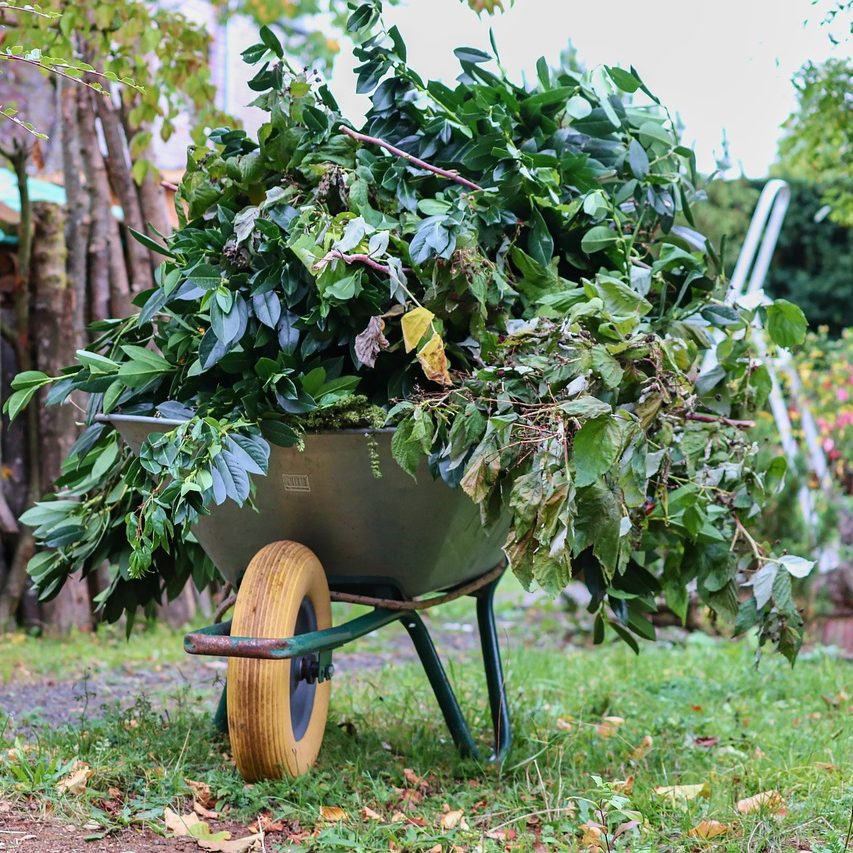 Grünschnitt - Container in der Nähe